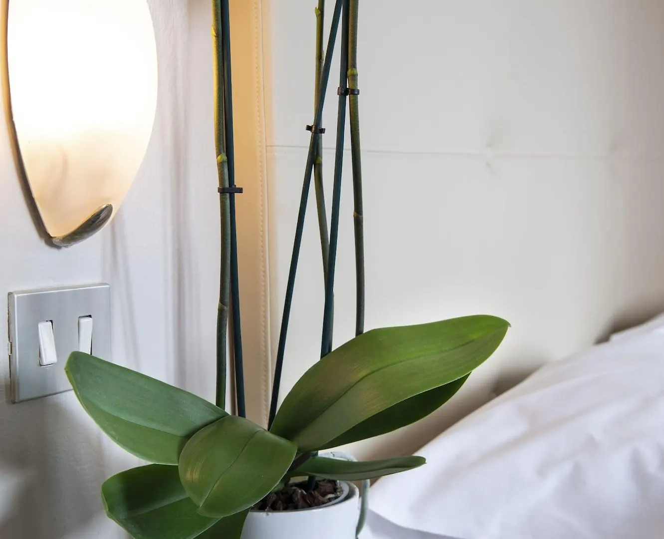 Hotel Ariston & Spa Montecatini Terme